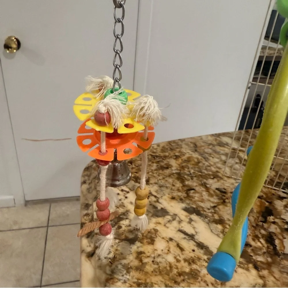 Colorful Hanging Bird Toy Set with Mirror